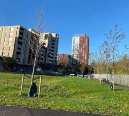 Image of Colindale Park park in London, England, United Kingdom Image of Colindale Park park in london, england, united-kingdom