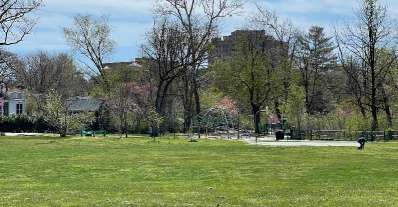 Image of Woodlawn Park park in Arlington, Massachusetts, United States Image of Woodlawn Park park in arlington, massachusetts, united-states