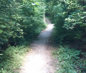 Image of Shelbourne Forest Nature Walk park in Delaware, Ohio, United States Image of Shelbourne Forest Nature Walk park in delaware, ohio, united-states