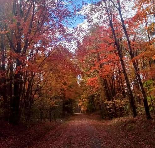Image of Fred Meijer White Pine Trail State Park park in Big Rapids, Michigan, United States Image of Fred Meijer White Pine Trail State Park park in big-rapids, michigan, united-states