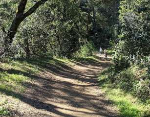 Image of Thornewood Open Space Preserve park in Woodside, California, United States Image of Thornewood Open Space Preserve park in woodside, california, united-states