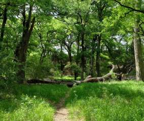 Image of Z Boaz Park park in Fort Worth, Texas, United States Image of Z Boaz Park park in fort-worth, texas, united-states