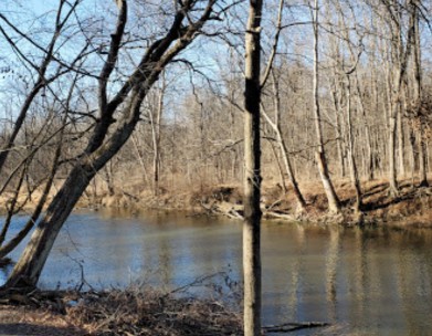 Image of Metea County Park park in Fort Wayne, Indiana, United States Image of Metea County Park park in fort-wayne, indiana, united-states