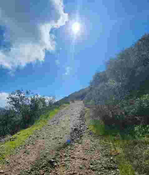 Image of Potato Mountain park in Claremont, California, United States Image of Potato Mountain park in claremont, california, united-states