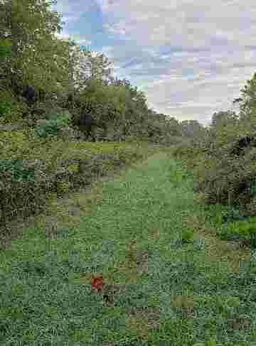 Image of Shannondale Springs Wildlife Management Area park in Harpers Ferry, West Virginia, United States Image of Shannondale Springs Wildlife Management Area park in Harpers Ferry, West Virginia, United States