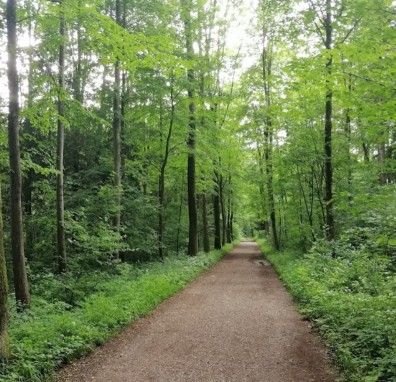 Image of Stadtwald park in Dachau, Bayern, Germany Image of Stadtwald park in dachau, bayern, germany