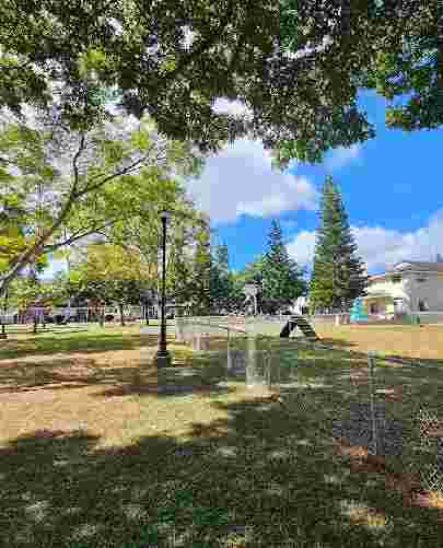 Image of Schofield Dog Park park in Schofield Barracks, Hawaii, United States Image of Schofield Dog Park park in schofield-barracks, hawaii, united-states
