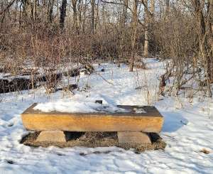Image of Wood Dale Grove Forest Preserve park in Wood Dale, Illinois, United States Image of Wood Dale Grove Forest Preserve park in wood-dale, illinois, united-states