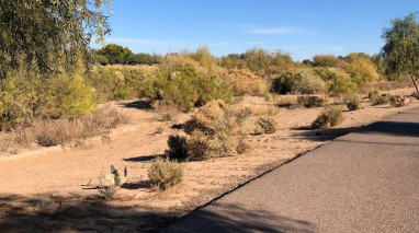Image of Queen Creek Wash Trail park in Queen Creek, Arizona, United States Image of Queen Creek Wash Trail park in queen-creek, arizona, united-states
