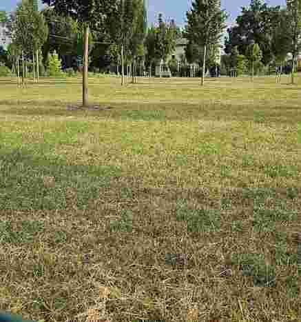 Image of Parco strano park in Carpi, Emilia-Romagna, Italy Image of Parco strano park in carpi, emilia-romagna, italy