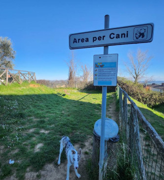 Image of area cani, Siena park in Siena, Toscana, Italy Image of area cani, Siena park in siena, toscana, italy
