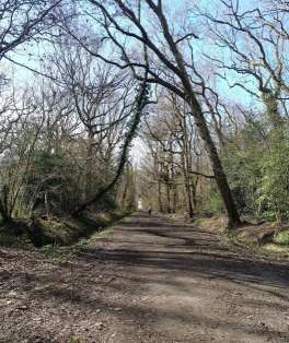 Image of Bradley Woods park in Grimsby, England, United Kingdom Image of Bradley Woods park in grimsby, england, united-kingdom