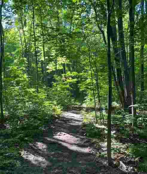 Image of Bois Papineau park in Laval, Quebec, Canada Image of Bois Papineau park in laval, quebec, canada