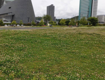 Image of 池田東静岡公園 park in Shizuoka, Shizuoka, Japan Image of 池田東静岡公園 park in shizuoka, shizuoka, japan