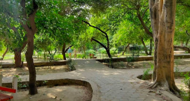 Image of Jheel Park park in Delhi, Delhi, India Image of Jheel Park park in delhi, delhi, india