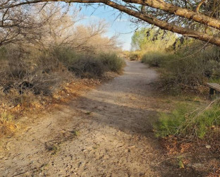 Image of Rio Bosque Park park in El Paso, Texas, United States Image of Rio Bosque Park park in el-paso, texas, united-states