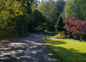 Image of Pleasant Glade Park park in Olympia, Washington, United States Image of Pleasant Glade Park park in olympia, washington, united-states