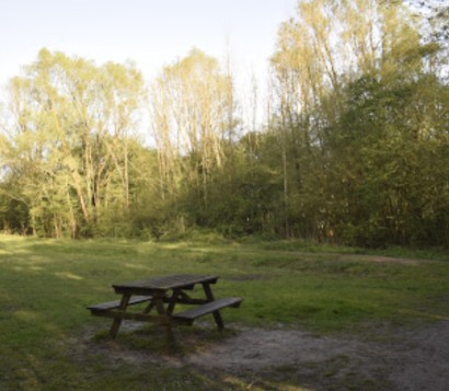 Image of Kennedybos park in Kortrijk, West-Vlaanderen, Belgium Image of Kennedybos park in kortrijk, west-vlaanderen, belgium