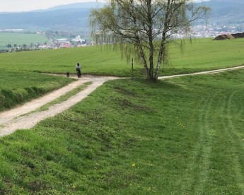 Image of Rundunde (Stedebuche) park in Fambach, Thuringia, Germany Image of Rundunde (Stedebuche) park in fambach, thuringia, germany