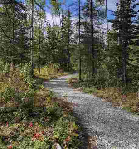 Image of Settlers Bay Coastal Park - East Lot park in Wasilla, Alaska, United States Image of Settlers Bay Coastal Park - East Lot park in wasilla, alaska, united-states