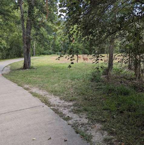 Image of Timber Lane Hike & Bike Trail park in Spring, Texas, United States Image of Timber Lane Hike & Bike Trail park in spring, texas, united-states