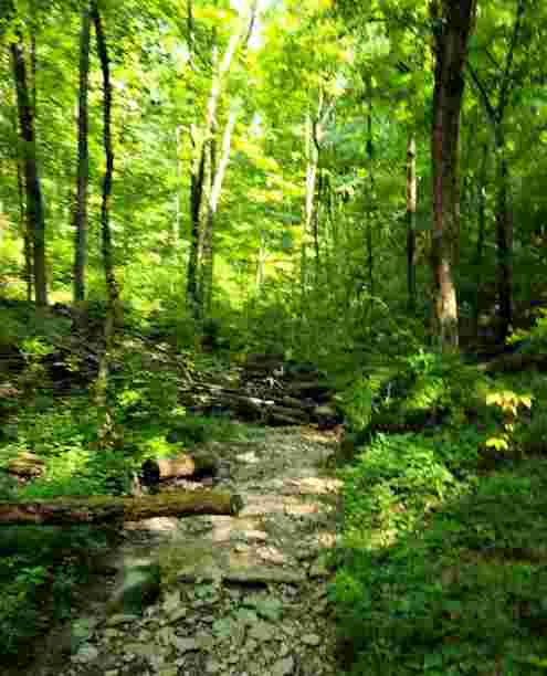 Image of Mt Airy Forest Park park in Cincinnati, Ohio, United States Image of Mt Airy Forest Park park in cincinnati, ohio, united-states