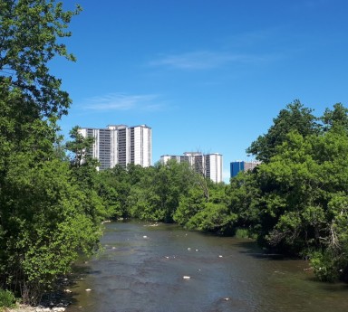 Image of Rowntree Mills Park park in Toronto, Ontario, Canada Image of Rowntree Mills Park park in toronto, ontario, canada