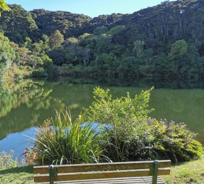 Image of Ross Creek Reservoir Forest Walk park in Dunedin, Otago, New Zealand Image of Ross Creek Reservoir Forest Walk park in dunedin, otago, new-zealand