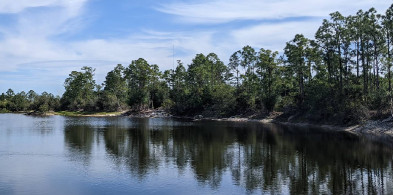 Image of Pop Ash Creek Preserve park in North Fort Myers, Florida, United States Image of Pop Ash Creek Preserve park in north-fort-myers, florida, united-states