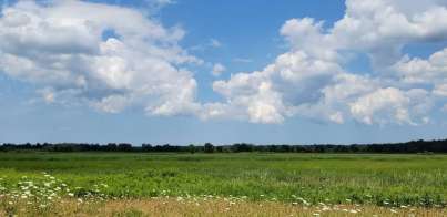 Image of Tonawanda Wildlife Management Area park in Middleport, New York, United States Image of Tonawanda Wildlife Management Area park in middleport, new-york, united-states