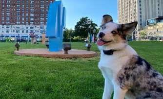 Image of SLU Dog Park & Sculpture Garden park in St. Louis, Michigan, United States Image of SLU Dog Park & Sculpture Garden park in st-louis, michigan, united-states