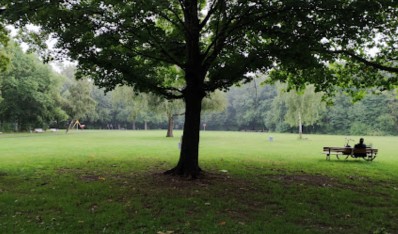 Image of Hoppenstedtwiese park in Hanover, Lower Saxony, Germany Image of Hoppenstedtwiese park in hanover, lower-saxony, germany