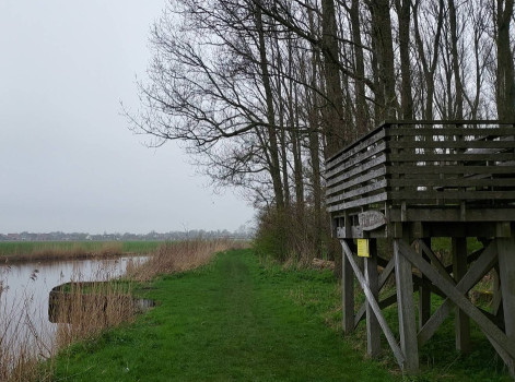 Image of Flietsterbosk park in Witmarsum, Friesland, Netherlands Image of Flietsterbosk park in witmarsum, friesland, netherlands