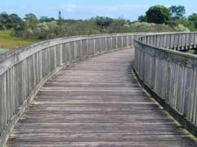 Image of Wellington Park park in The Acreage, Florida, United States Image of Wellington Park park in the-acreage, florida, united-states