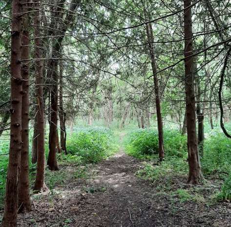 Image of Turtle Creek Moccasin Trail park in Beloit, Wisconsin, United States Image of Turtle Creek Moccasin Trail park in beloit, wisconsin, united-states