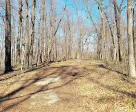 Image of Allens Creek State Recreation Area park in Bloomington, California, United States Image of Allens Creek State Recreation Area park in bloomington, california, united-states