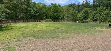 Image of Waluga Dog Park park in Lake Oswego, Oregon, United States Image of Waluga Dog Park park in lake-oswego, oregon, united-states