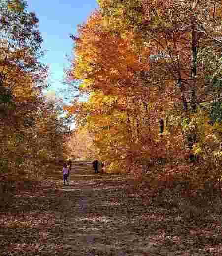 Image of O'Dowd Lake Park park in Shakopee, Minnesota, United States Image of O'Dowd Lake Park park in shakopee, minnesota, united-states