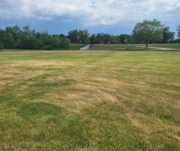 Image of Lininger Park park in Marion, Illinois, United States Image of Lininger Park park in marion, illinois, united-states