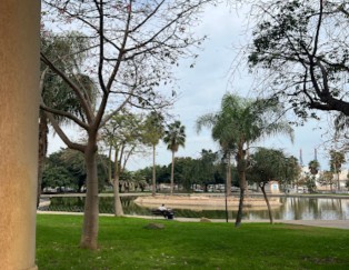 Image of Parque de Huelin park in Malaga, Malaga, Spain Image of Parque de Huelin park in malaga, malaga, spain
