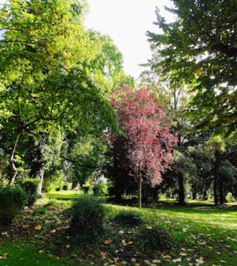 Image of Parc des Epoux Rosenberg park in Seclin, Nord, France Image of Parc des Epoux Rosenberg park in seclin, nord, france