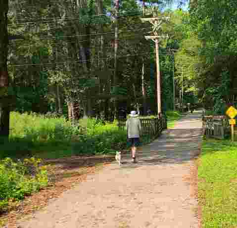 Image of Booker Creek Bird-friendly Habitat park in Chapel Hill, North Carolina, United States Image of Booker Creek Bird-friendly Habitat park in chapel-hill, north-carolina, united-states