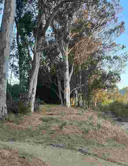 Image of Sykes Ranch Park park in Murrieta, California, United States Image of Sykes Ranch Park park in murrieta, california, united-states