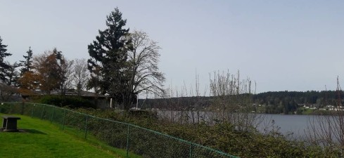 Image of Net Shed Park park in Poulsbo, Washington, United States Image of Net Shed Park park in poulsbo, washington, united-states