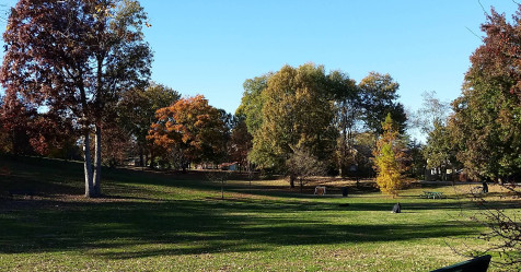 Image of DeMun Park park in Clayton, Missouri, United States Image of DeMun Park park in clayton, missouri, united-states