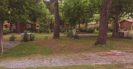Image of Camping Versilia Mare park in Lido di Camaiore, Tuscany, Italy Image of Camping Versilia Mare park in lido-di-camaiore, tuscany, italy