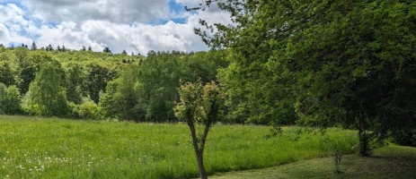 Image of Rechelshausen park in Darmstadt, Hessen, Germany Image of Rechelshausen park in darmstadt, hessen, germany