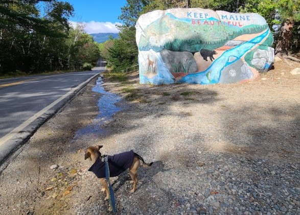 Image of Pockwockamus Rock park in Millinocket, Maine, United States Image of Pockwockamus Rock park in millinocket, maine, united-states