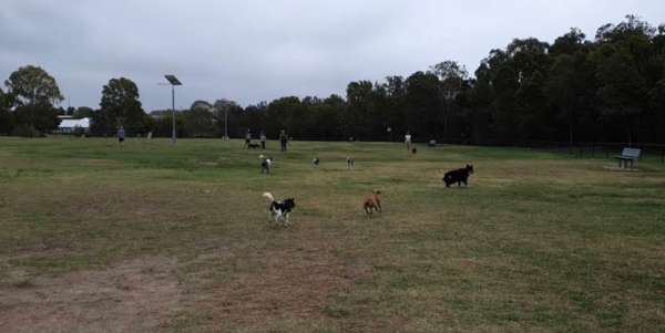 Image of Buxton Avenue Dog Park park in Yarrabilba, Queensland, Australia Image of Buxton Avenue Dog Park park in yarrabilba, queensland, australia