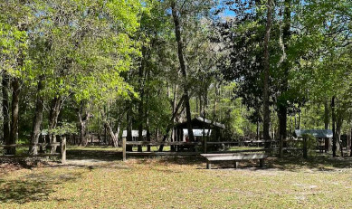 Image of River Rise Magnolia Campground park in High Springs, Florida, United States Image of River Rise Magnolia Campground park in high-springs, florida, united-states